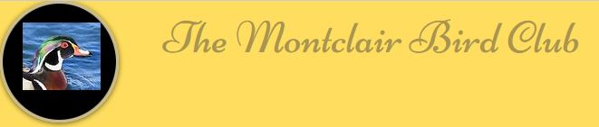Montclair Bird Club logo