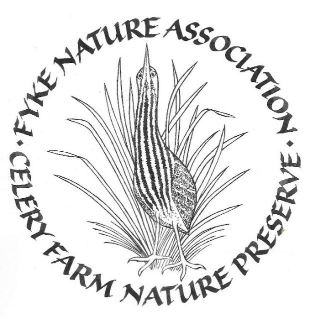 Fyke Bittern Logo
