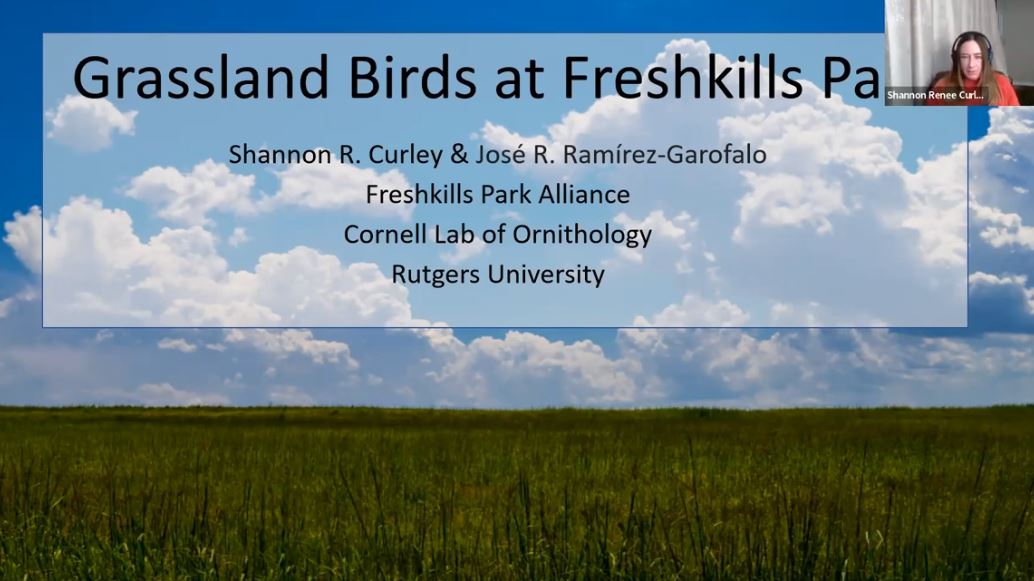 Grassland Birds