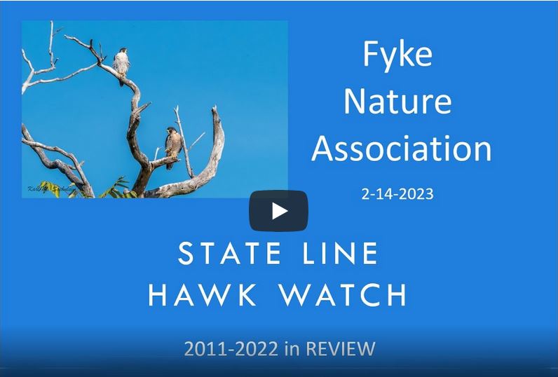 State Line Hawk Watch