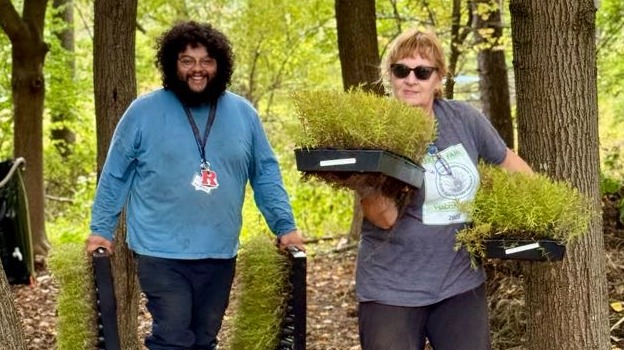 Green Way Meadow Replanting