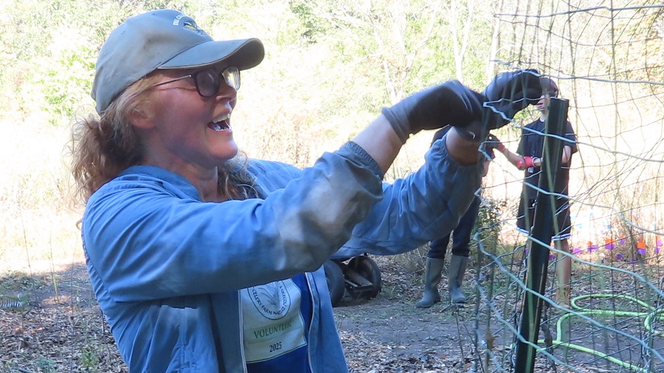 Green Way Meadow Replanting