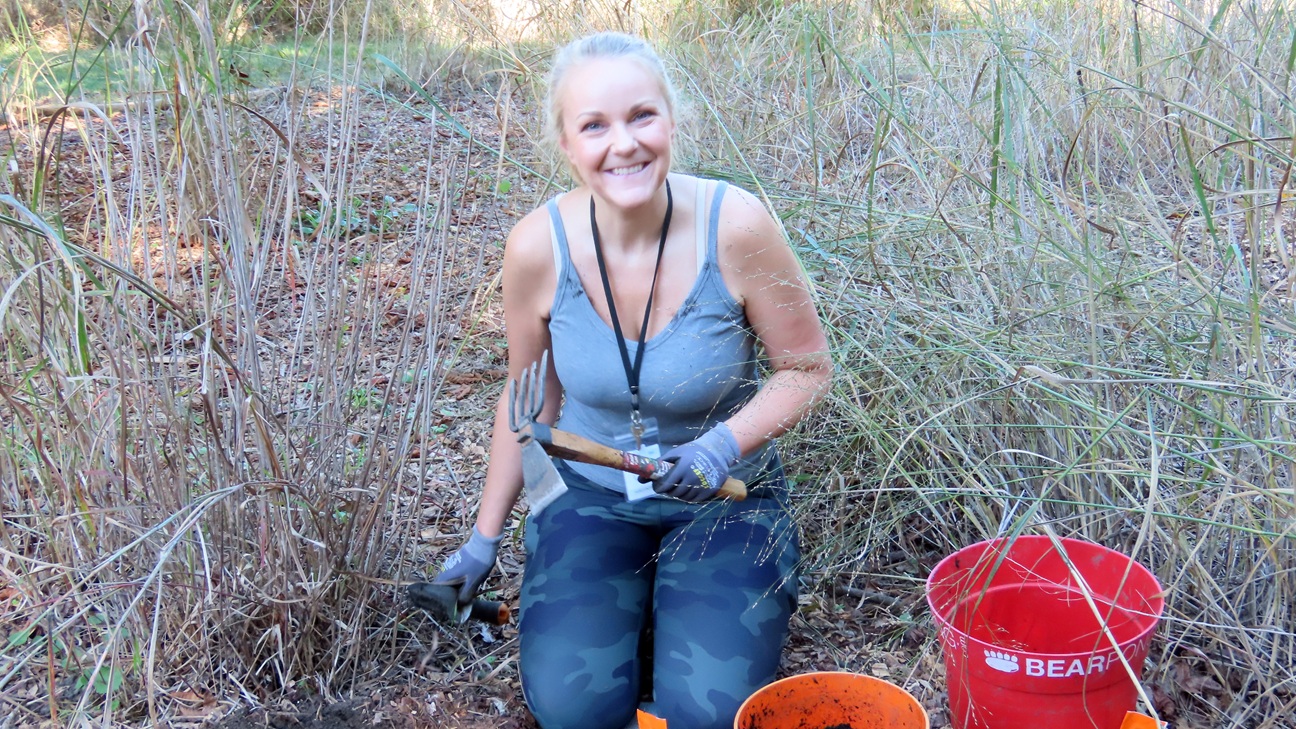 Green Way Meadow Replanting