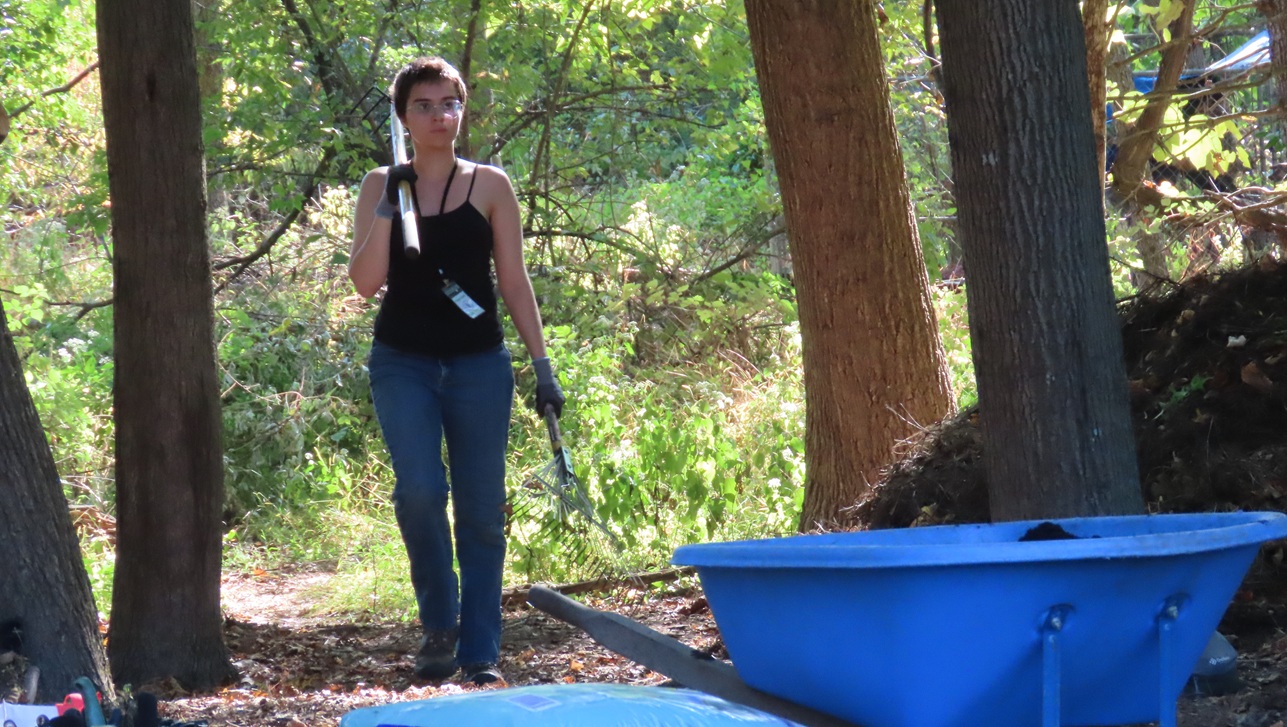 Green Way Meadow Replanting