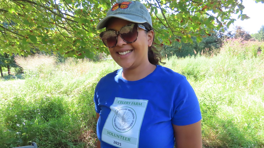 Celery Farm Volunteers