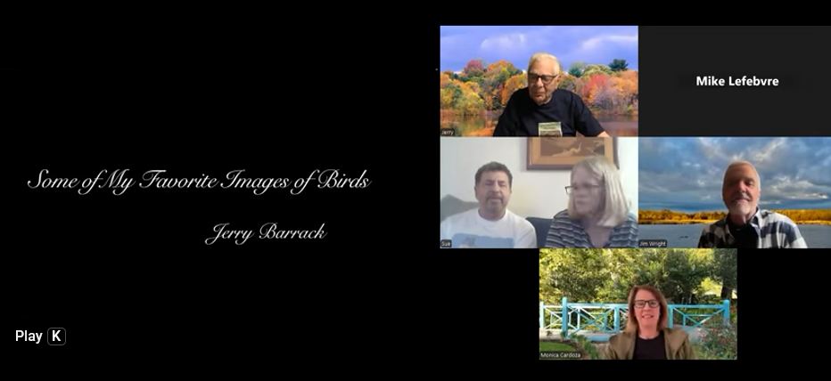 Some of My Favorite Images of Birds Video