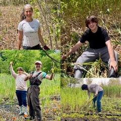 Volunteers Collage