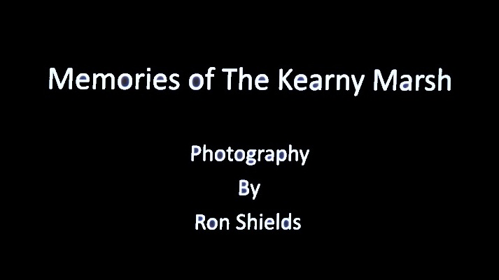 Memories of the Kearny Marsh Photography by Ron Shields