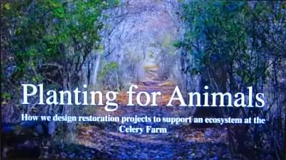 Planting for Animals Video